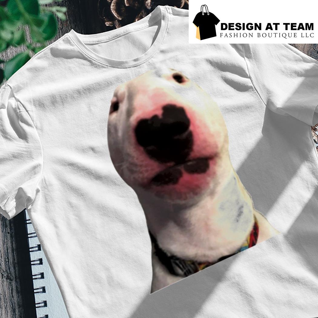 Walter meme dog hat shirt, hoodie, sweater, long sleeve and tank top