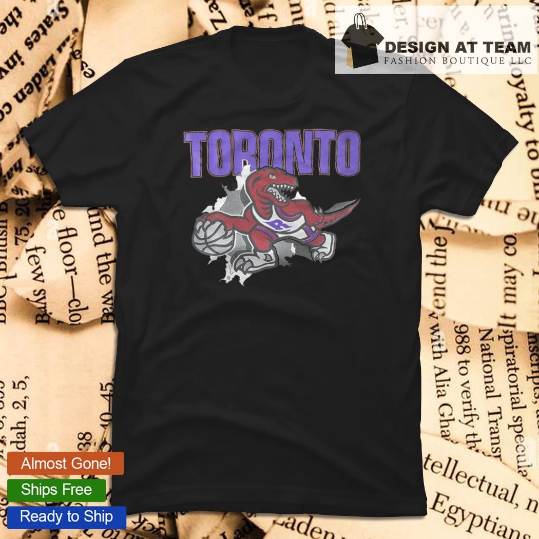 Toronto Raptors Vintage Hoodie